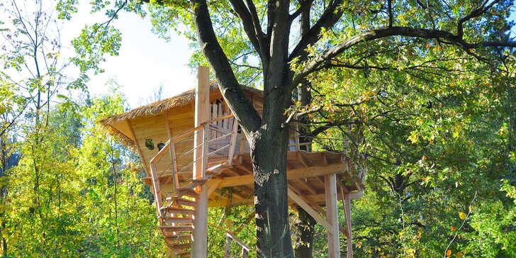 Netradiční dovolená v korunách stromů pro 4 osoby kousek od Českého ráje