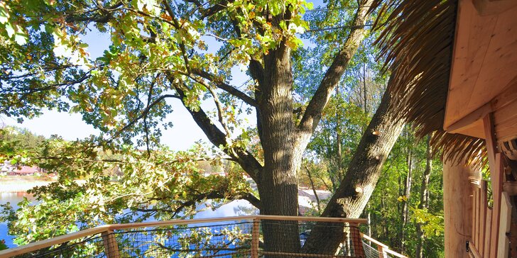 Netradiční dovolená v korunách stromů pro 4 osoby kousek od Českého ráje