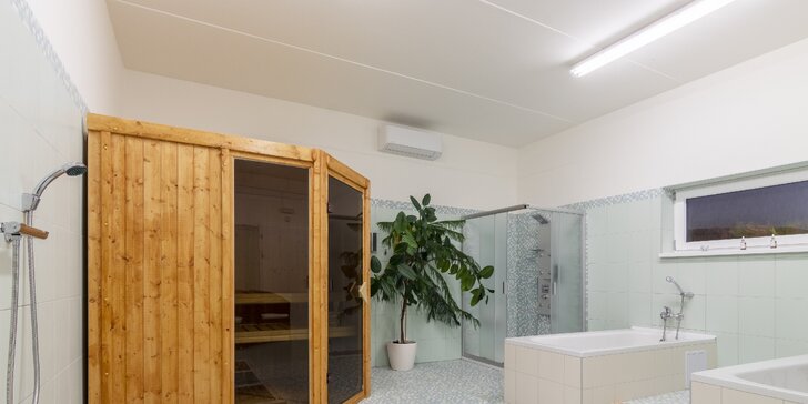Pohodový pobyt v apartmánech v podkrušnohoří se snídaní a saunou