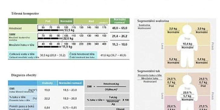 Měření profesionálním přístrojem InBody R20
