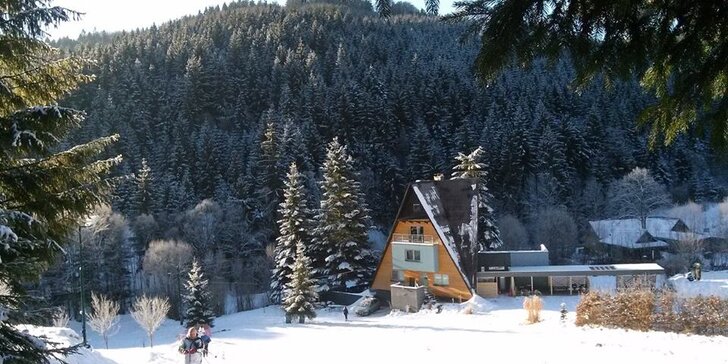 Rodinné apartmány s možností wellness a lyžařský vlek zdarma