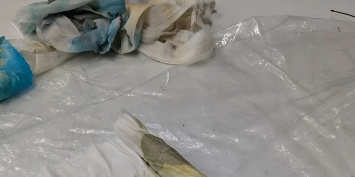 Pak už vás čeká vlastní experimentování s rostlinami a barvením.