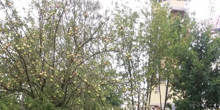 Duhový svět v pohodě projedete i s kočárkem, v Permoniu se s ním dostanete jen do některých částí. 