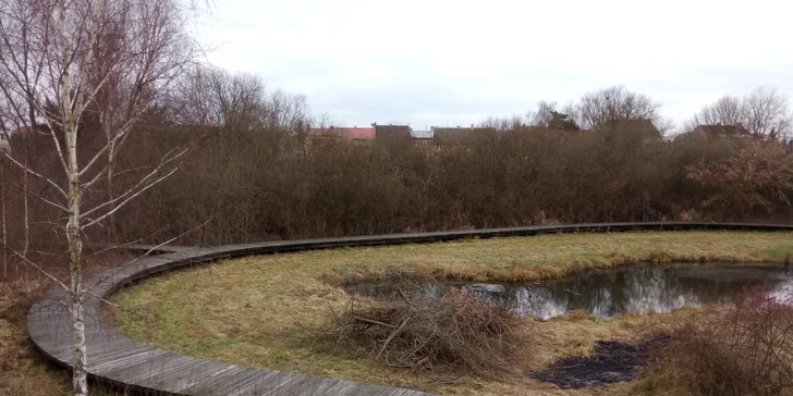 Nechte se unést hrou a užijte si zábavu s přáteli nebo rodinou!
