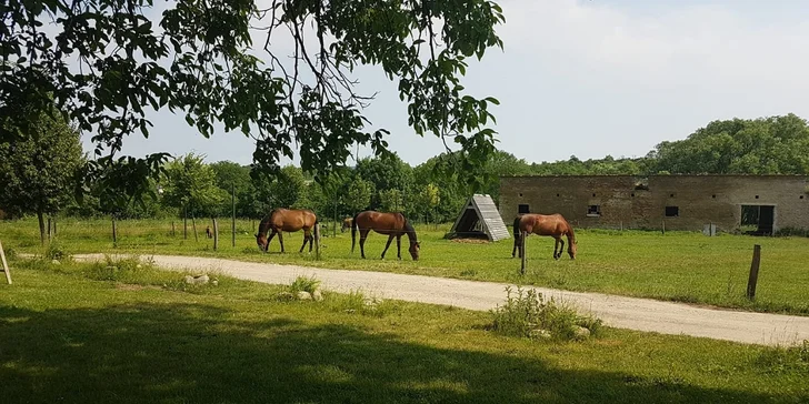 Jarní dovolená na rodinném statku: polopenze, výlety i jízda na koni