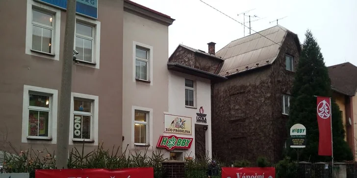 Voňavý symbol Vánoc: až 225 cm vysoká živá jedle ve špičkové kvalitě