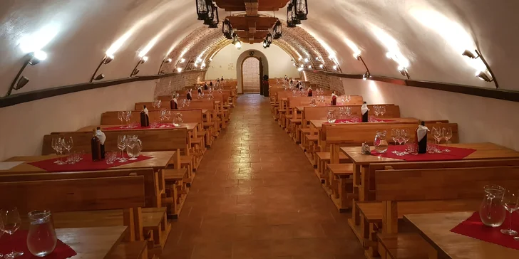 Silvestr na jižní Moravě: party ve sklípku, raut, víno, muzika i ohňostroj