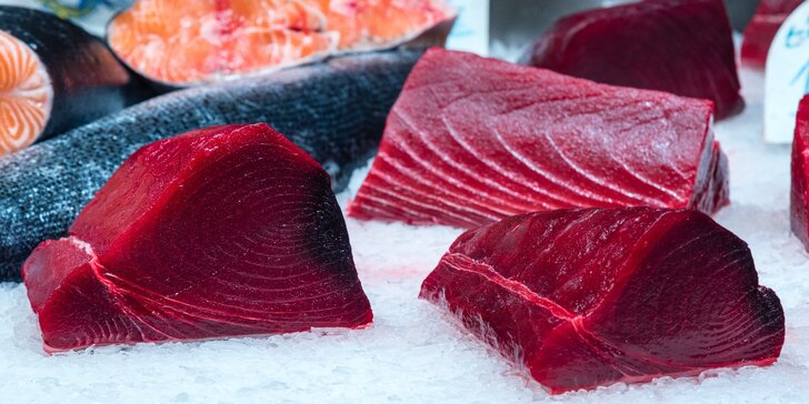 Čerstvé rybí maso z divokého odchytu: filet z tuňáka žlutoploutvého