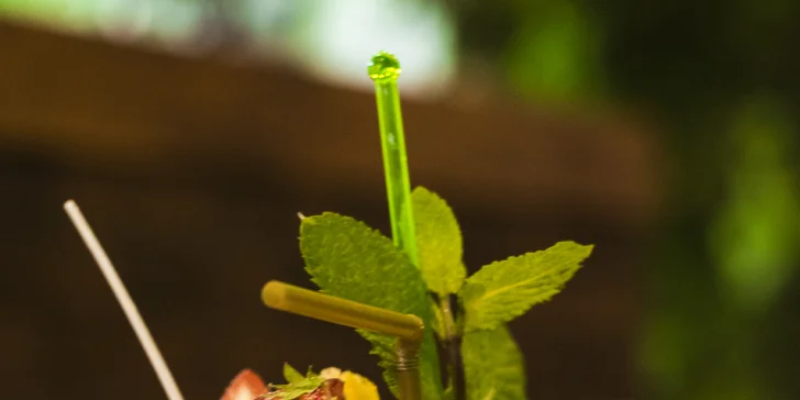 Sladká, slaná i vege snídaně a k ní káva nebo čaj + džus nebo voda