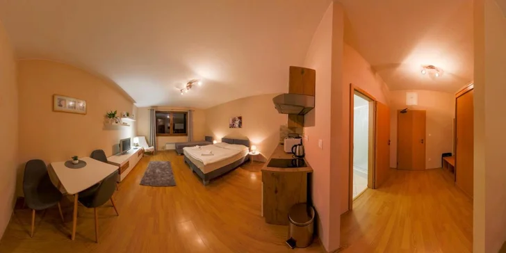 Jednoizbový apartmán 