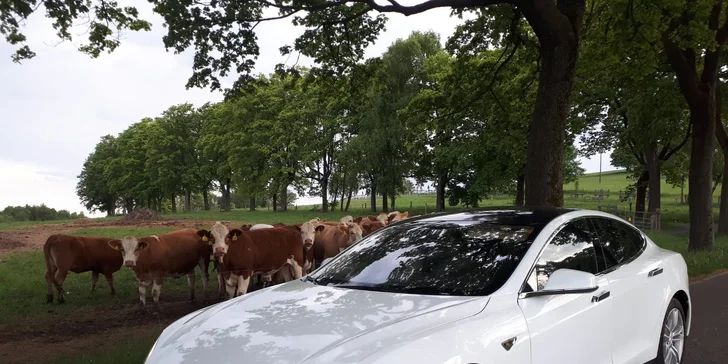 Zrychlení z 0 na 100 km/h za 4 s: spolujízda nebo řízení žihadla Tesla S