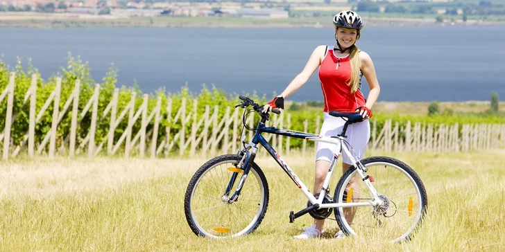 Penzion na Pálavě: polopenze, vinné stezky pro cyklisty i večery plné vína