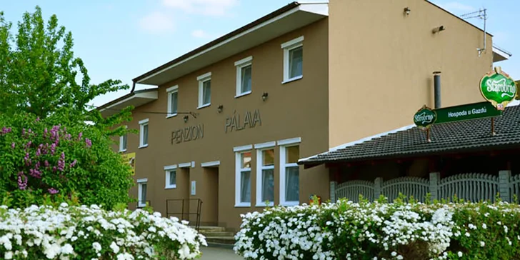 Penzion na Pálavě: polopenze, vinné stezky pro cyklisty i večery plné vína