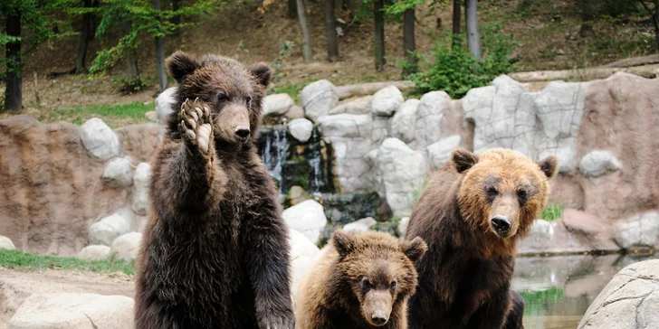Celodenní vstupy do zoo Brno: speciální prohlídky s průvodcem