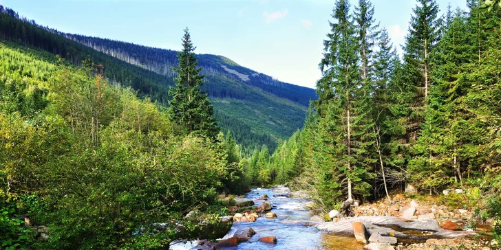 Krkonošská pohoda: polopenze, víno a vstupenka na Stezku korunami stromů