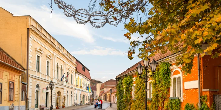 Wellness pobyt s ochutnávkou vína ve slavné vinařské oblasti v Maďarsku