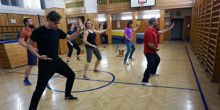 Zimní kurzy Taiji Chen pro začátečníky na Vinohradech nebo v Holešovicích