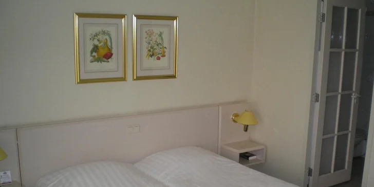 Nejkrásnější národní parky Holandska a Amsterdam na 2 noci vč. snídaně