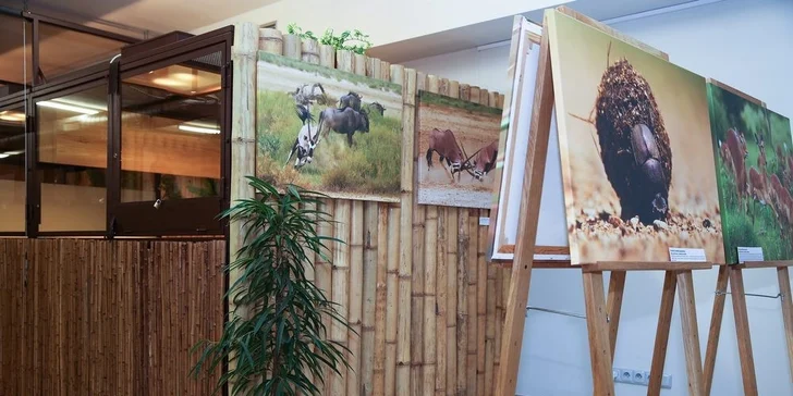 Vstupenka do Krokodýlí Zoo Praha: kajmani, krokodýli i aligátoři