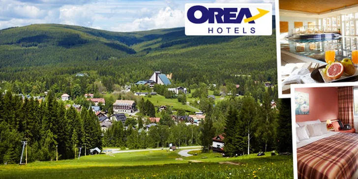 Čtyřhvězdičkový relax v Harrachově pro dva