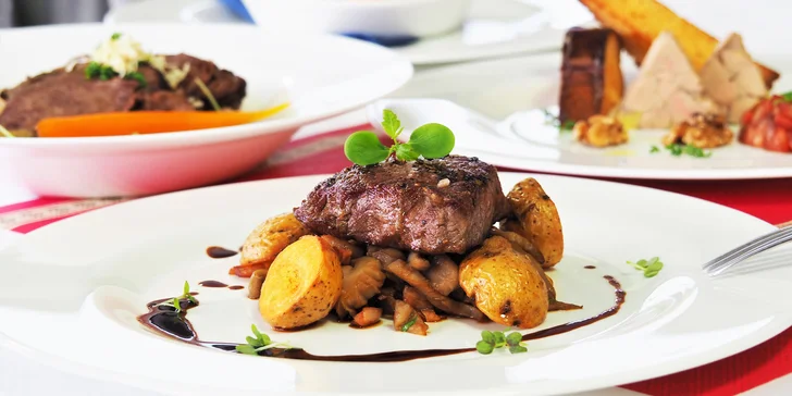 4chodové menu s foie gras, steakem či supreme a výhledem na přehradu