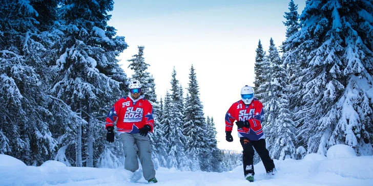 Ideální zážitek pro bruslaře: zapůjčení sněžných bruslí Sled Dogs na víkend