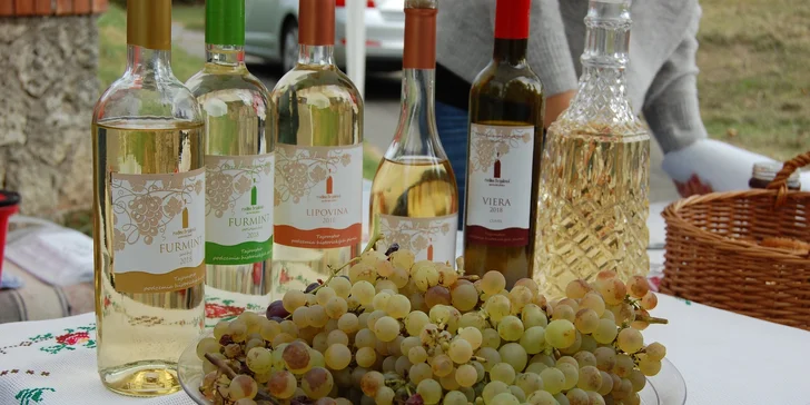 Navštívte obec, ktorá žije vinohradníctvom, a vychutnajte si lahodné tokajské vína na tradičnom Májovom festivale gazdovských vín