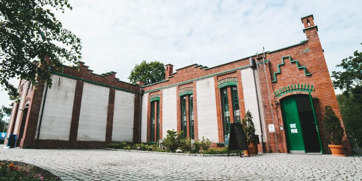 1 či 5 dní na příměstském táboře pro děti od 4 do 12: lanové centrum, výlety i cvičení