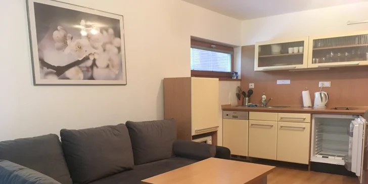 Vánoční idylka v Beskydech: moderní apartmány či vilky pro 2–8 osob