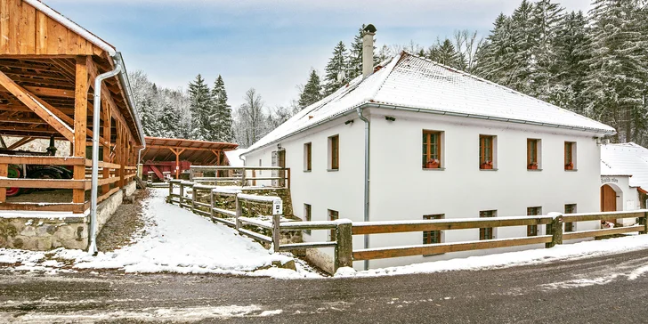 Pobyt ve zrenovovaném mlýně s minizoo, vlastním pivovarem a wellness