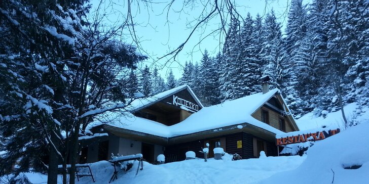 Výjimečný zimní pobyt v horské chatě v Nízkých Tatrách s polopenzí pro dva