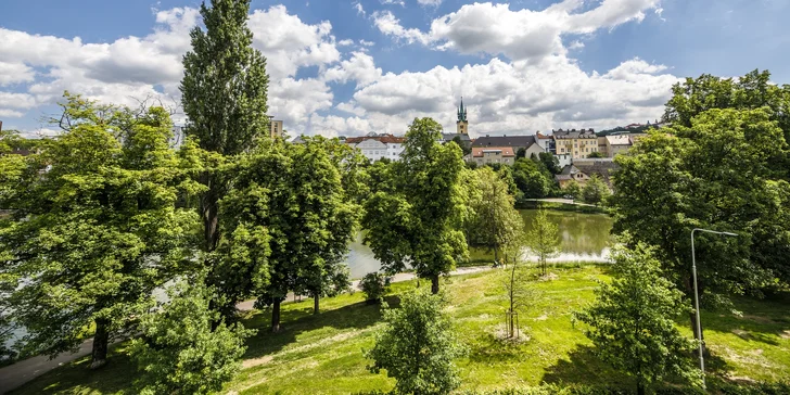 Přímo naproti hotelu se nachází příbramská obora a hned za ní náměstí T. G. M., kousek je to na zámek (300 m) a Svatou Horu (1 km). 