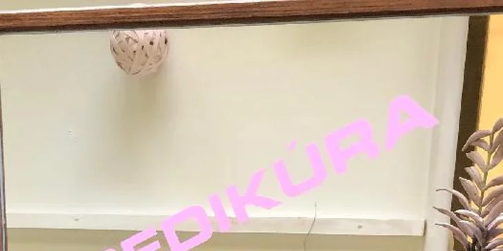 Ruce i nehty bez chybičky: P-Shine manikúra včetně lehké masáže rukou