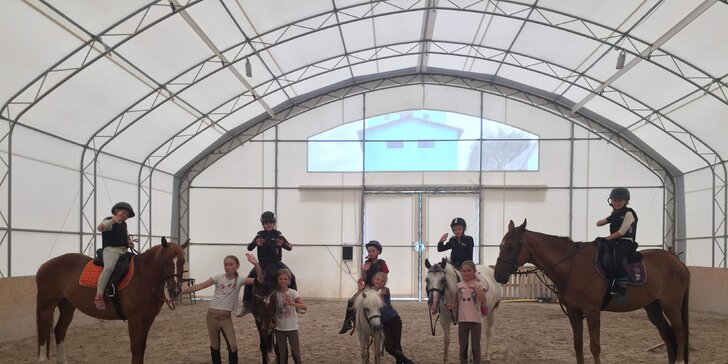 Individuální drezurní trénink i lekce pro dospělého i dítě: jízda na koni v nové kryté hale