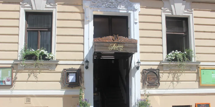 Víkendové pobyty v hotelu s rodinnou atmosférou v Českých Budějovicích