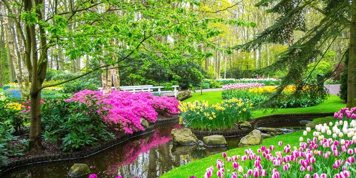 Velikonoce v Holandsku: tulipány v Keukenhofu, Amsterdam, sýry i památky