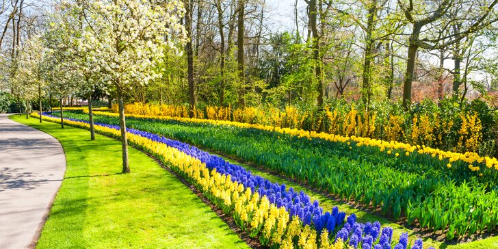 Oslavy dne královny v Amsterdamu, květinový park Keukenhof, sýry, památky