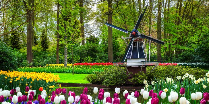 Oslavy dne královny v Amsterdamu, květinový park Keukenhof, sýry, památky