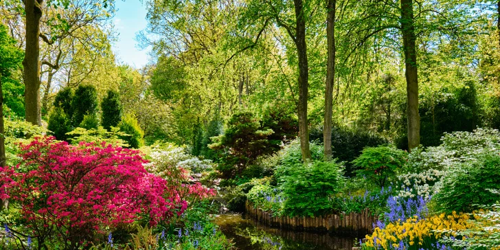 Na výlet do Holandsku: tulipány v Keukenhofu, Amsterdam, sýry i památky