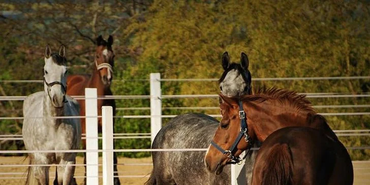 Pobyt v penzionu až pro 4 osoby: 3 pohodové dny, snídaně a jízda na koni