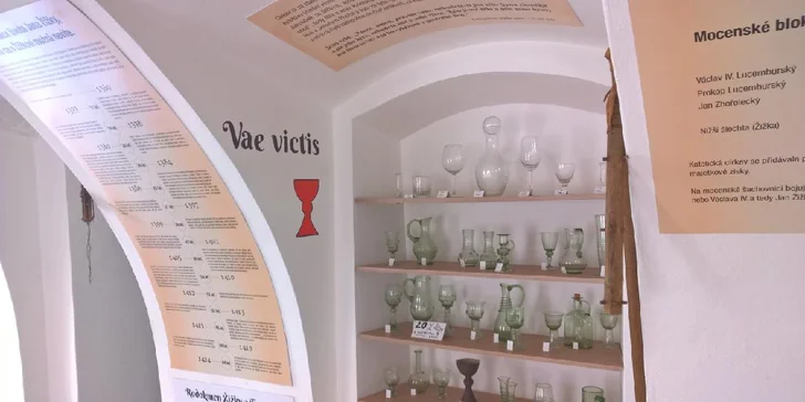 Vstupenky do Muzea Jana Žižky a Galerie filmových zbraní v Třeboni