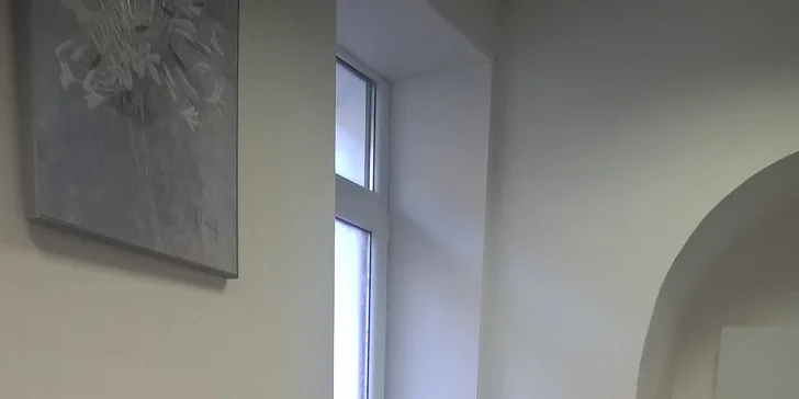 Profesionální žehlení a praní: trička, košile, kalhoty, sako, ubrus i povlečení
