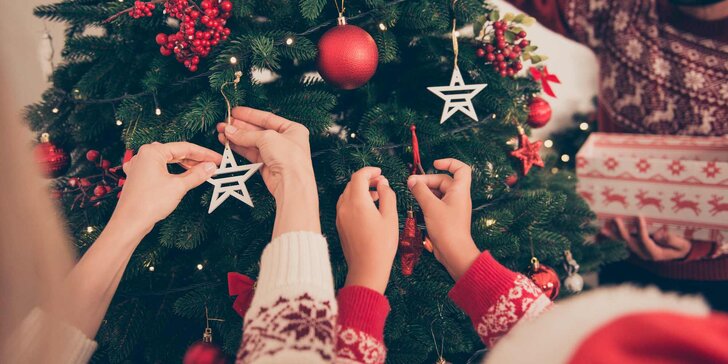 Umělý vánoční stromek: Na výběr jedle i borovice s osobním odběrem