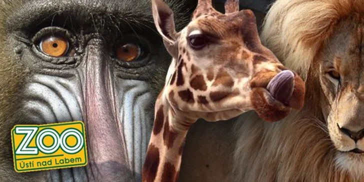 99 Kč za vstupenky do Zoo v Ústí nad Labem pro dvě až čtyři osoby. Navštivte zvířátka a udělejte radost sobě i svým dětem se slevou 50 %.