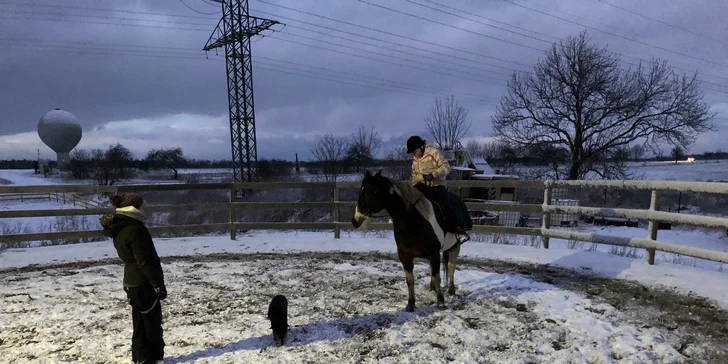 60 minut péče o koně a 30 minut jízdy v jízdárně nebo venku pro 1 i 2 osoby