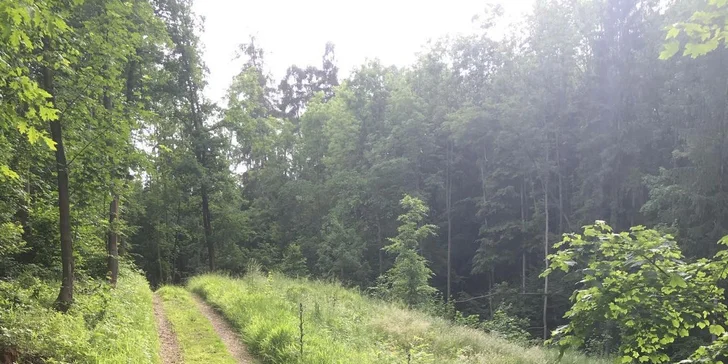 60 minut péče o koně a 30 minut jízdy v jízdárně nebo venku pro 1 i 2 osoby