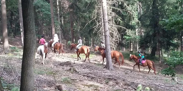 60 minut péče o koně a 30 minut jízdy v jízdárně nebo venku pro 1 i 2 osoby