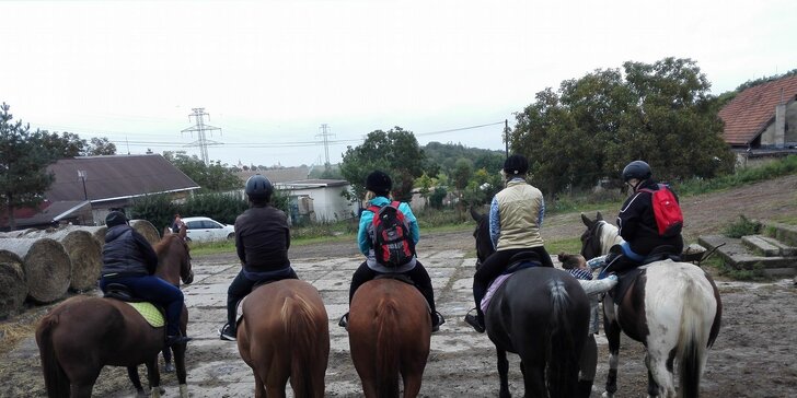 Mimořádný zážitek: Jízda na koni po památkách Přírodního parku Džbán