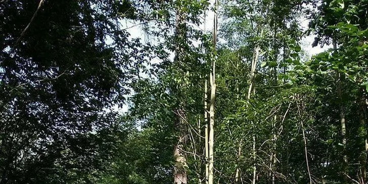 60 minut péče o koně a 30 minut jízdy v jízdárně nebo venku pro 1 i 2 osoby