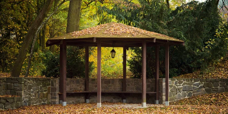 Relaxační pobyt pro dva nebo rodinu s neomezeným vstupem do wellness